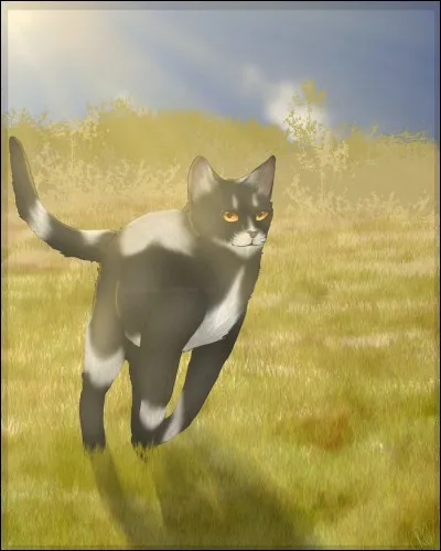 Avant de mourir, j'ai nommé un autre chat lieutenant à la place de celui qui occupait ce poste. Qui suis-je ?