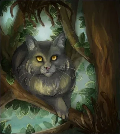 L'incendie m'a d'abord étouffée puis tuée. Qui suis-je ?