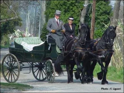 Comment s'appelle cette discipline ?