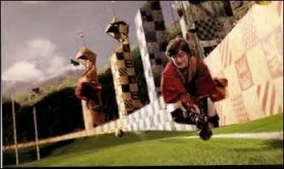Le Quidditch, sport favori des sorciers, se joue avec...