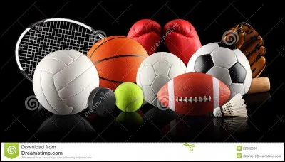 Quel est ton sport préféré ?