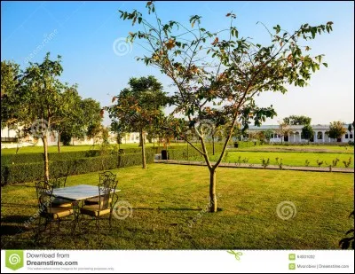 Qu'est-ce que tu fais quand tu es dehors ?