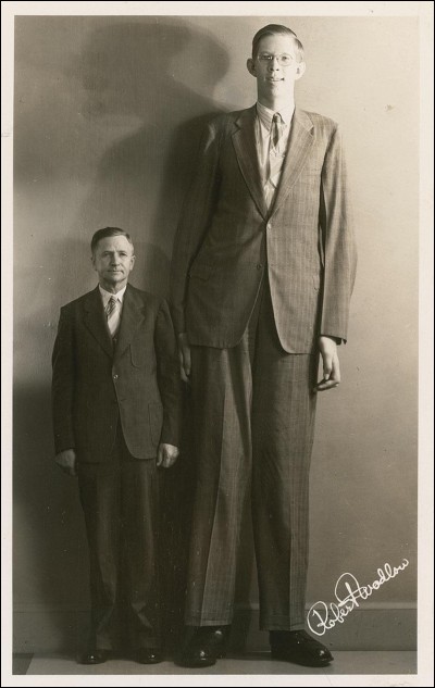 Connais-tu la taille de l'homme le plus grand de tous les temps ?