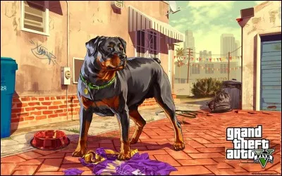 Comment s'appelle le chien de Franklin ?