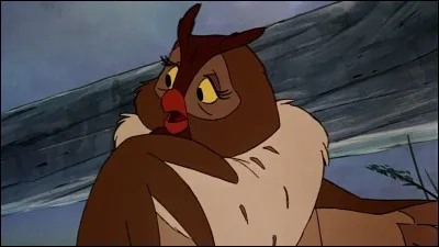 De quel Disney cet hibou est-il tiré ?