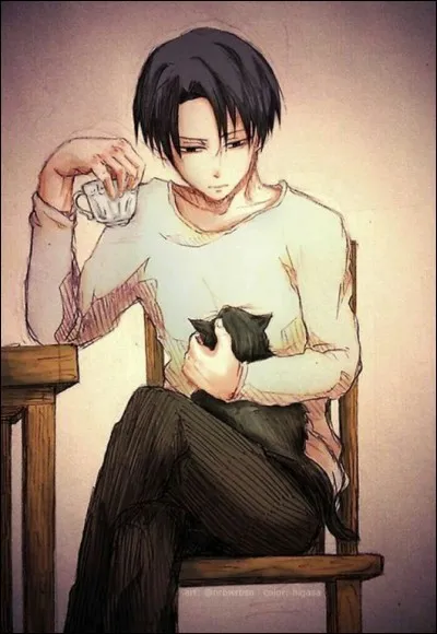 Comment as-tu découvert les mangas ?