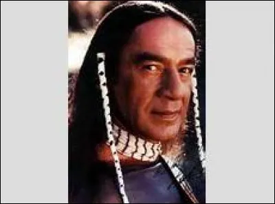 Comment s'appelle l'Indien, ami de Sully et du docteur Quinn ?