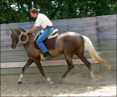 Les protections pour les humains pour monter à cheval sont :