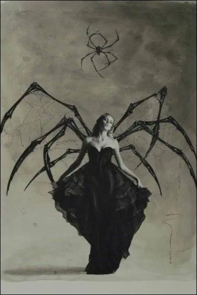 Quelle déesse punira impitoyablement pour son orgueil la princesse Arachné ?