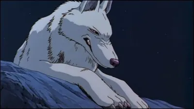 Quel est le nom de l'animal sur la photo ?