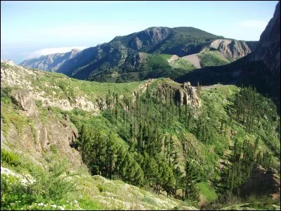 Qui chante ces paroles : "C'est pour ça qu'aujourd'hui, je suis fatigué ; c'est pour ça qu'aujourd'hui, je voudrais crier..." ?
