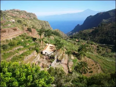 Comment traduit-on "je suis fatigué" en espagnol ?