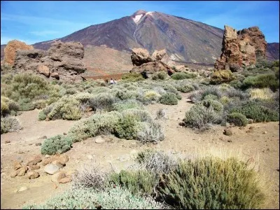 Hormis la médecine, dans quel domaine scientifique le phénomène appelé "fatigue" est-il bien connu et peut-il s'avérer extrêmement dangereux ?