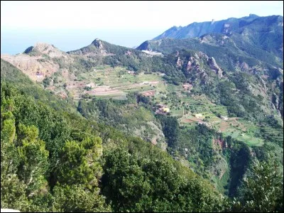 Quelle maladie virale, touchant principalement les enfants, les ados et les jeunes adultes, est surnommée "maladie du baiser" et s'accompagne d'une intense fatigue ?