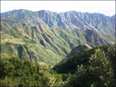 Parmi ces termes, lequel n'est pas synonyme de "fatigué" ?