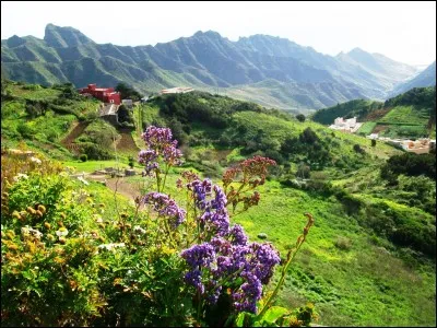 De quelle pièce de Molière cette réplique est-elle issue : "Oh ! La grande fatigue que d'avoir une femme ! Et qu'Aristote a bien raison, quand il dit qu'une femme est pire qu'un démon !" ?
