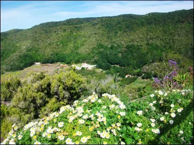 Quel anglicisme désigne spécifiquement la fatigue liée au décalage horaire ?