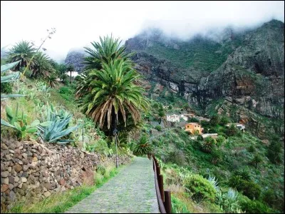 Dans quel film de et avec Michel Blanc, sorti en 1994, Carole Bouquet et Philippe Noiret, entre autres, jouent-ils leur propre rôle ?