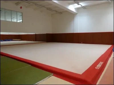 Comment se nomme le sol utilisé par les gymnastes ?