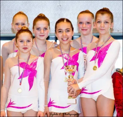 Si une gymnaste de compétition parvenait à arriver aux championnats de France, combien de compétions aurait-elle réalisées en une année ?