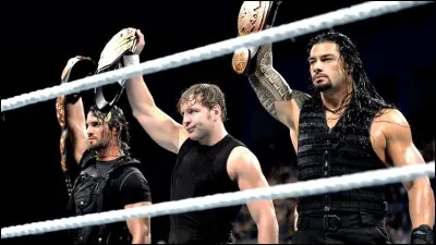 Comment s'appelle le team de Roman, Dean et Seth ?