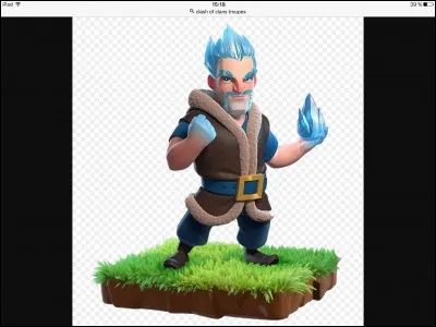 Quel est le type de cette troupe ?