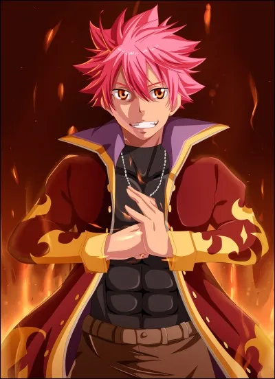 Si tu étais à Fairy Tail, Natsu serait...