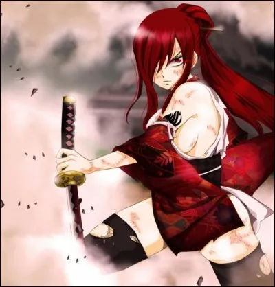 Quand tu penses à Erza, tu la vois comme...