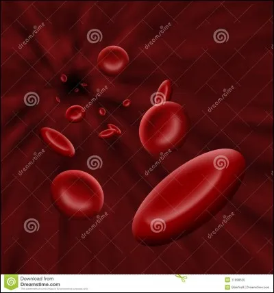Quel est l'autre nom de la plaquette sanguine ?