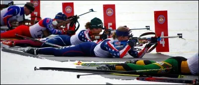 Comment s'appellent les deux frères de nationalité française qui excellent dans le biathlon ?