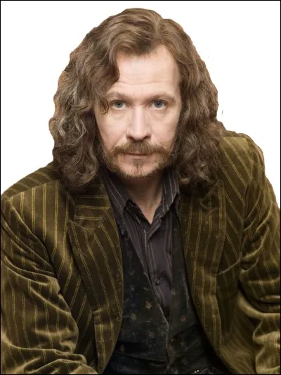 Qui Harry Potter va-t-il sauver à la fin du film ?