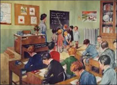 Le sarcophage est un insecte se nourrissant de fibres de bois.