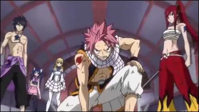 Qui fait partie de l'équipe de Natsu ?