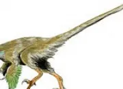 Quiz Les dinosaures