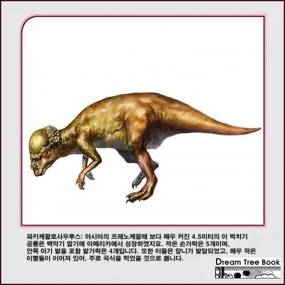 Quel est ce pachycephalosauridé ?