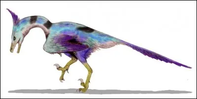 Quel est ce dromaeosauridé ?