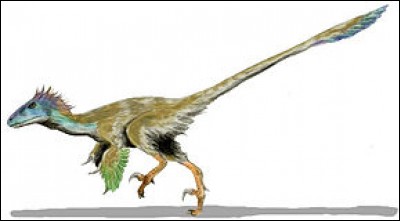 Quel est ce dromaeosauridé ?