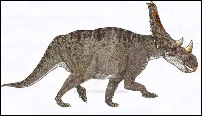 Comment reconnaît-on un Chasmosaurus ?