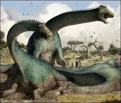 Quel est ce diplodocoïde ?