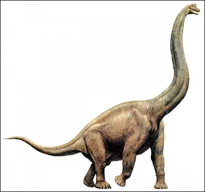 Quel est ce dinosaure sauropode brachiosauridé ?