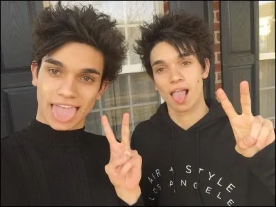 Quel est le prénom des jumeaux américains ?