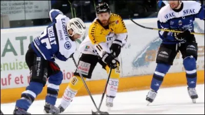 Quelles sont les deux équipes finalistes en 2017 ?