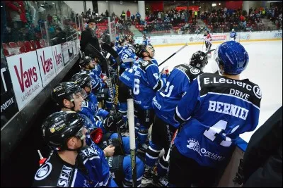 Qui sont les "Rapaces" ?