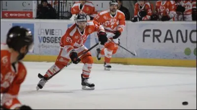 Comment se nomme depuis 2002 le regroupement des douze clubs de l'élite du hockey en France qui concourent pour le titre de champion de France ?