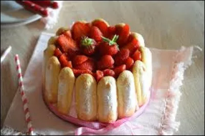 Sur cette photo, on voit une charlotte aux framboises.