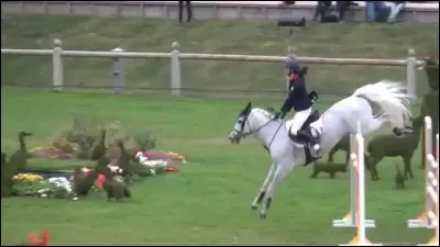 Camille Condé Ferreira a-t-elle fait partie de l'équipe de France pour les European Championships 2014 à Millstreet ?