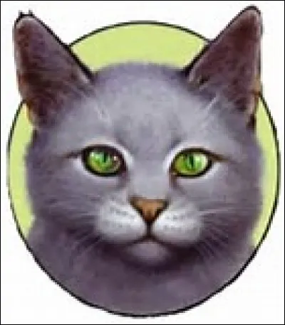 Quel est le nom de la troisième ?