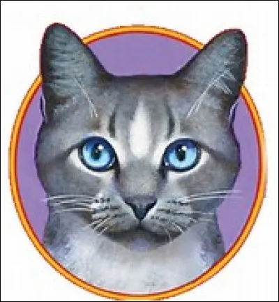 Quel est le nom du chef de l'ancien Clan du Ciel (à son départ de la forêt) ?