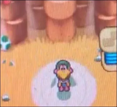 Quel est le métier de Kylie Koopa ?