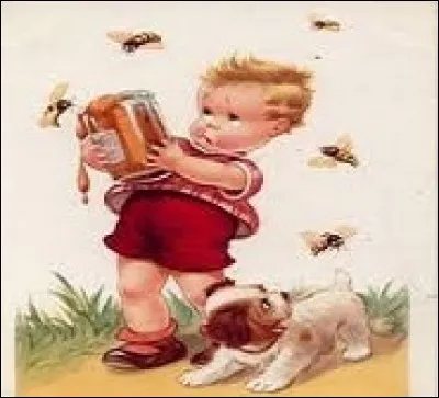 Comment sont les programmes que proposent les hommes politiques ?